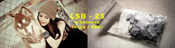 PSILOCYBIN Алексин