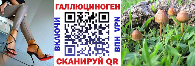 сколько стоит  Болохово  Галлюциногенные грибы MAGIC MUSHROOMS 